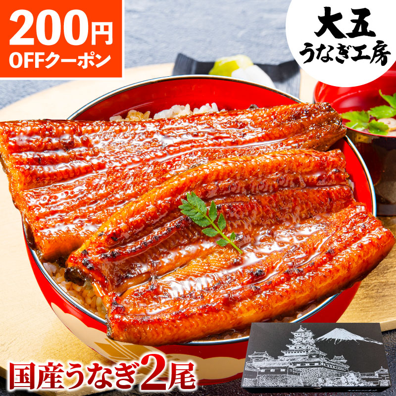 大五 日本國產冷凍蒲燒鰻魚禮盒(2尾裝)