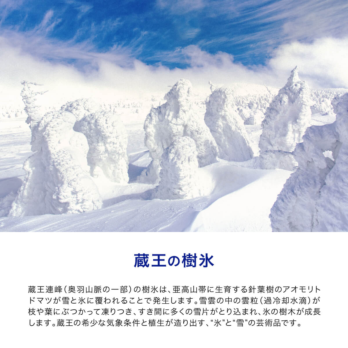 水想 無標籤天然礦泉水 500毫升 42支裝 圖 3