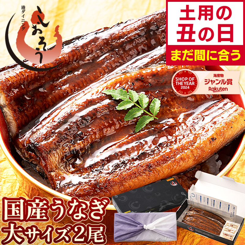 港 Dining Shioso 國產鰻魚蒲燒大尺寸禮盒(約165g×2尾)
