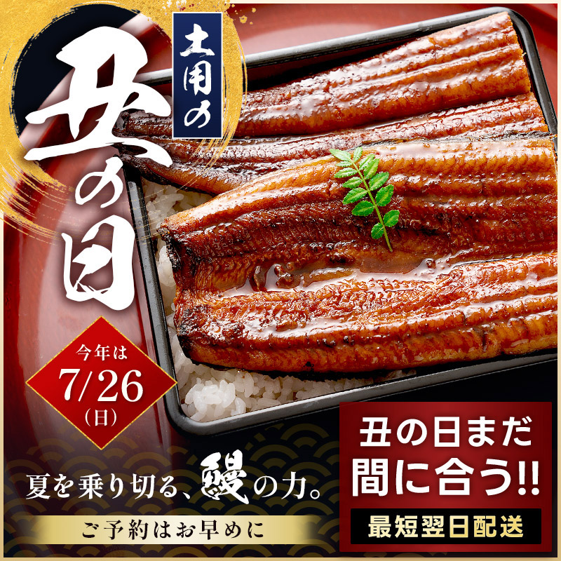 港 Dining Shioso 國產鰻魚蒲燒大尺寸禮盒(約165g×2尾) 圖 4