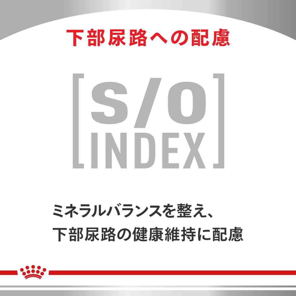 Royal Canin 貓用消化系統支援可溶性纖維乾糧 500g 圖 8