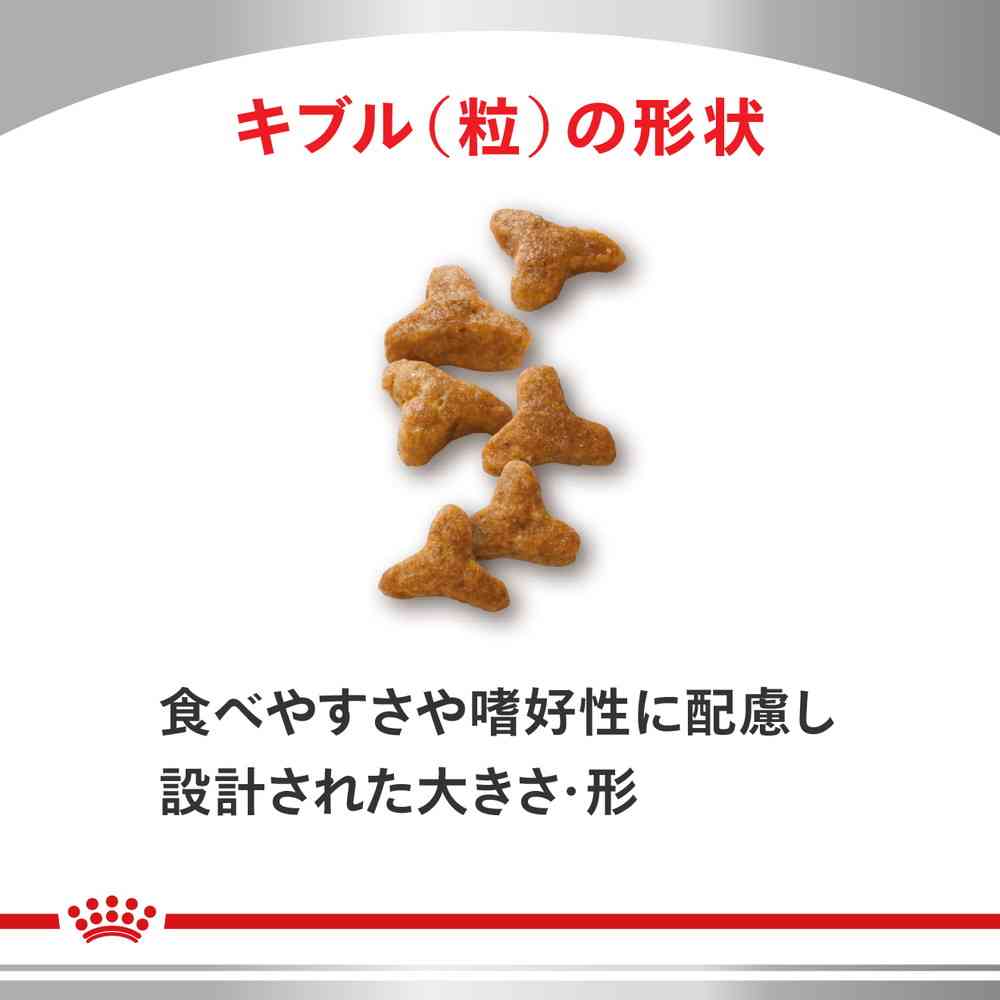 Royal Canin 貓用消化系統支援可溶性纖維乾糧 500g 圖 2