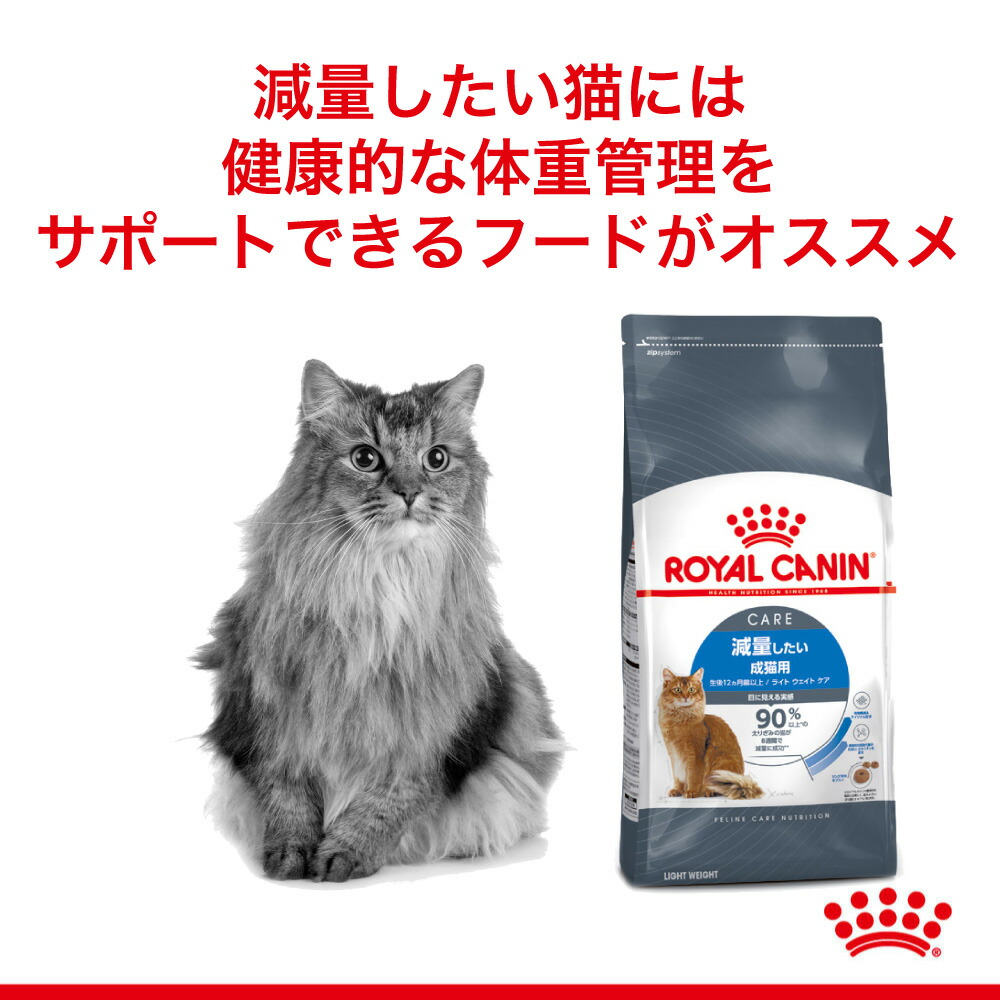 產品資訊與注意事項