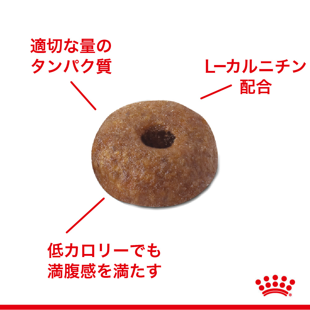 體重管理支持