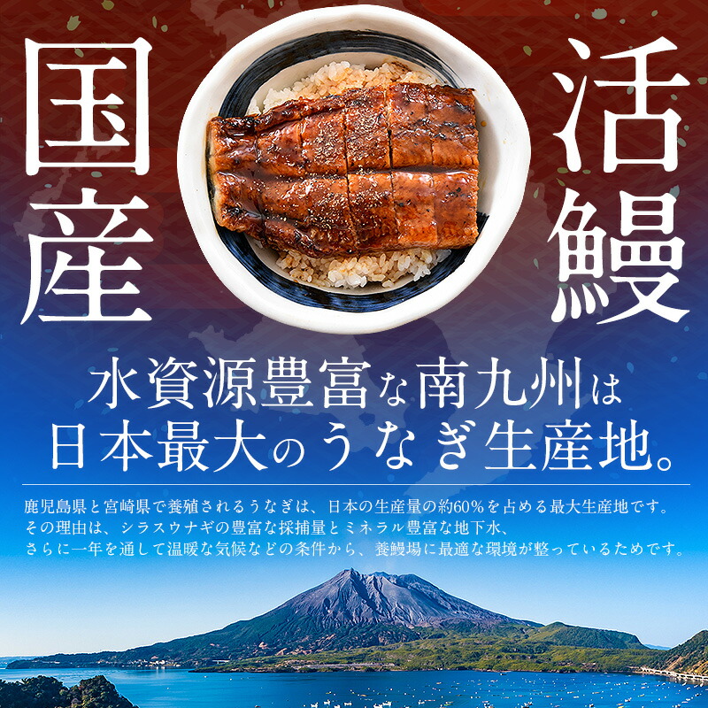 日本產特大無頭鰻魚蒲燒(約170g×3尾) 圖 5