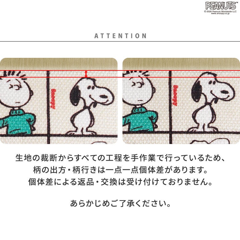 AYANOKOJI 扁身金屬扣母子銀包【PEANUTS 25SS 75th ALLSTARS】