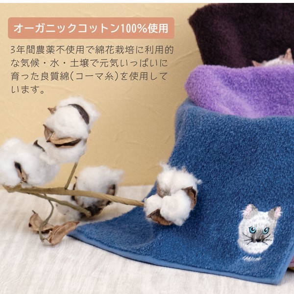Uchinoko mate貓咪系列毛巾手帕 八字臉貓刺繡