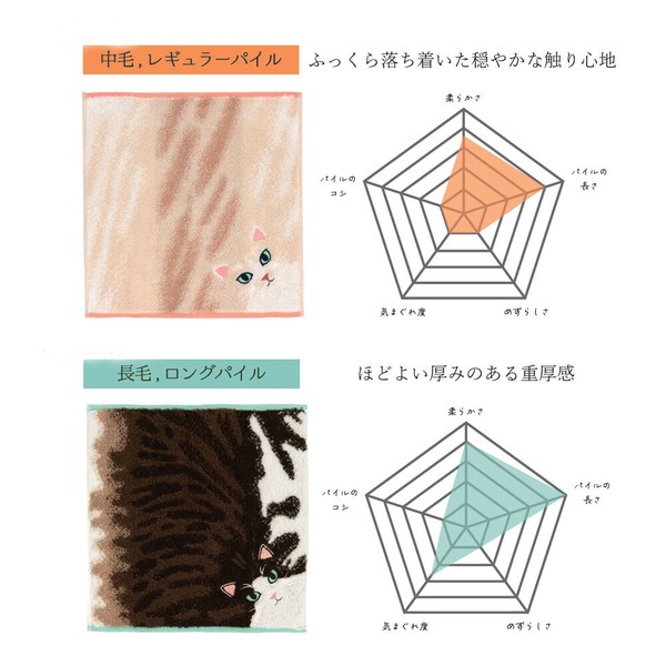 我家貓咪毛感毛巾手帕 三色貓款