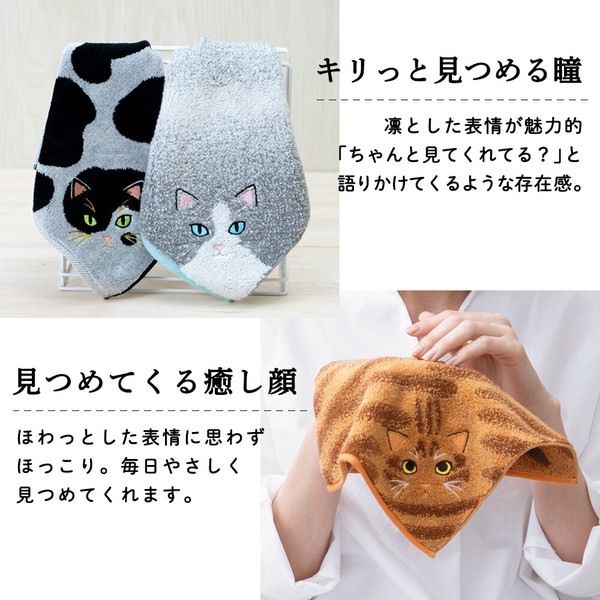 我家貓咪毛感毛巾手帕 三色貓款