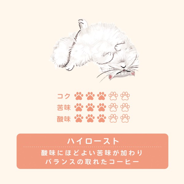 Kissa 有機掛耳咖啡 波斯貓包裝 高烘焙